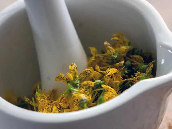 phytothérapie à Montauban dans le Tarn 82